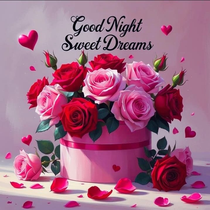good night pic new
