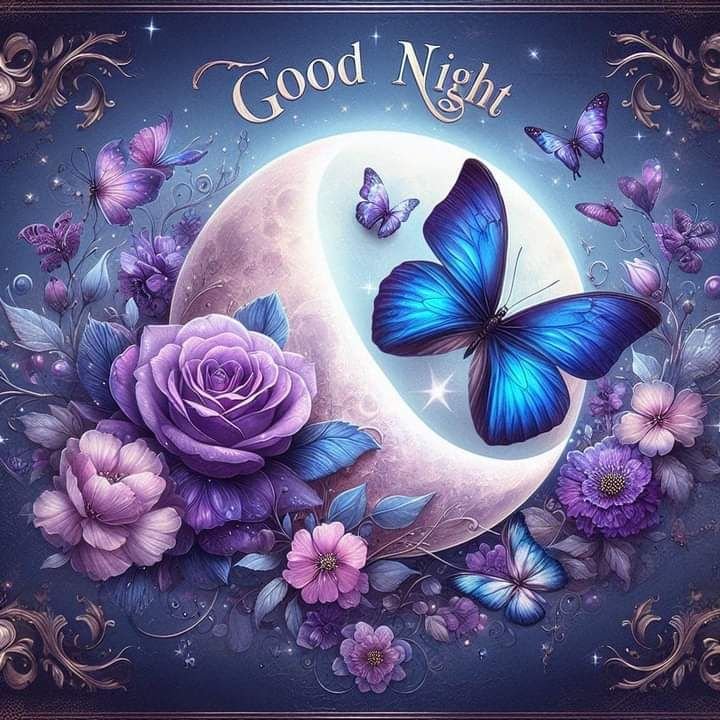 Beautiful Good Night Photo