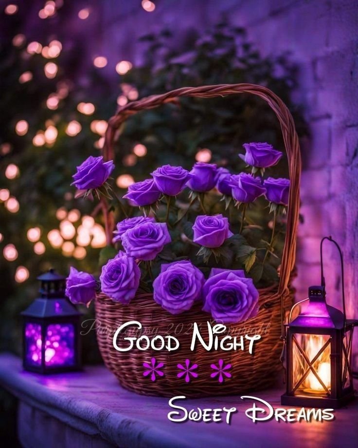 Good night images new
