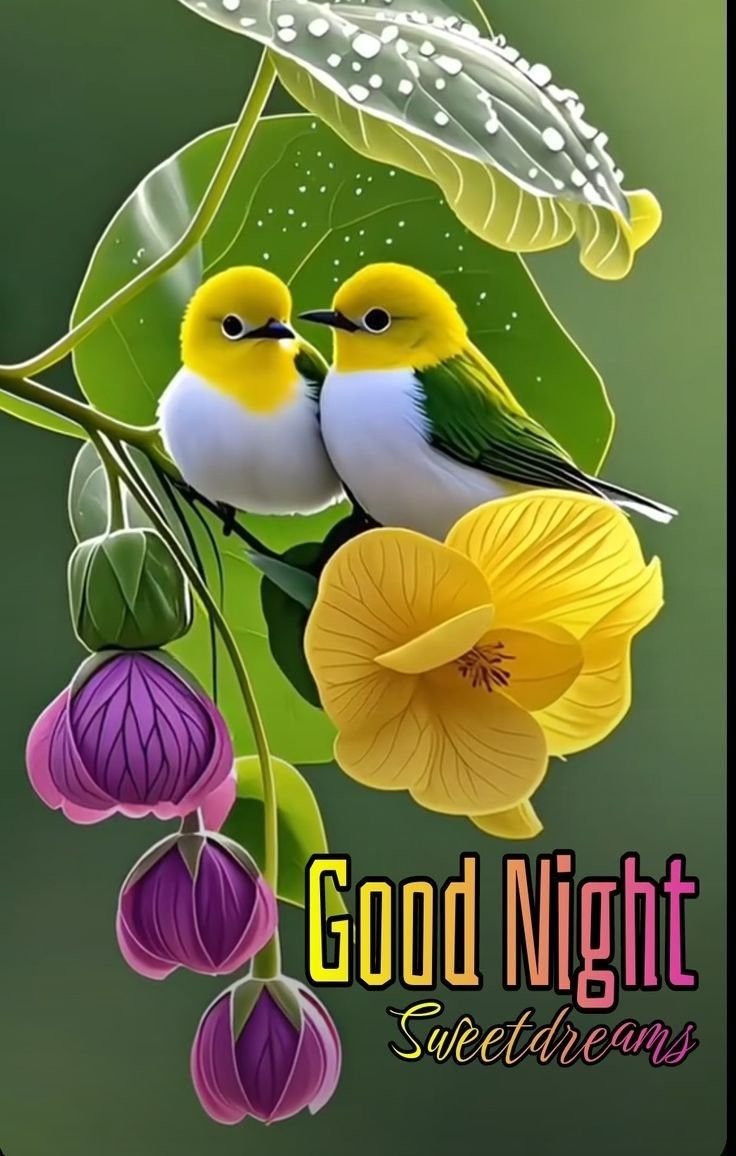 good night pic