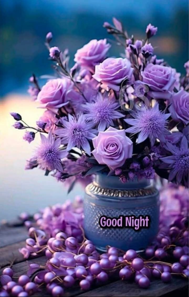 good night pic