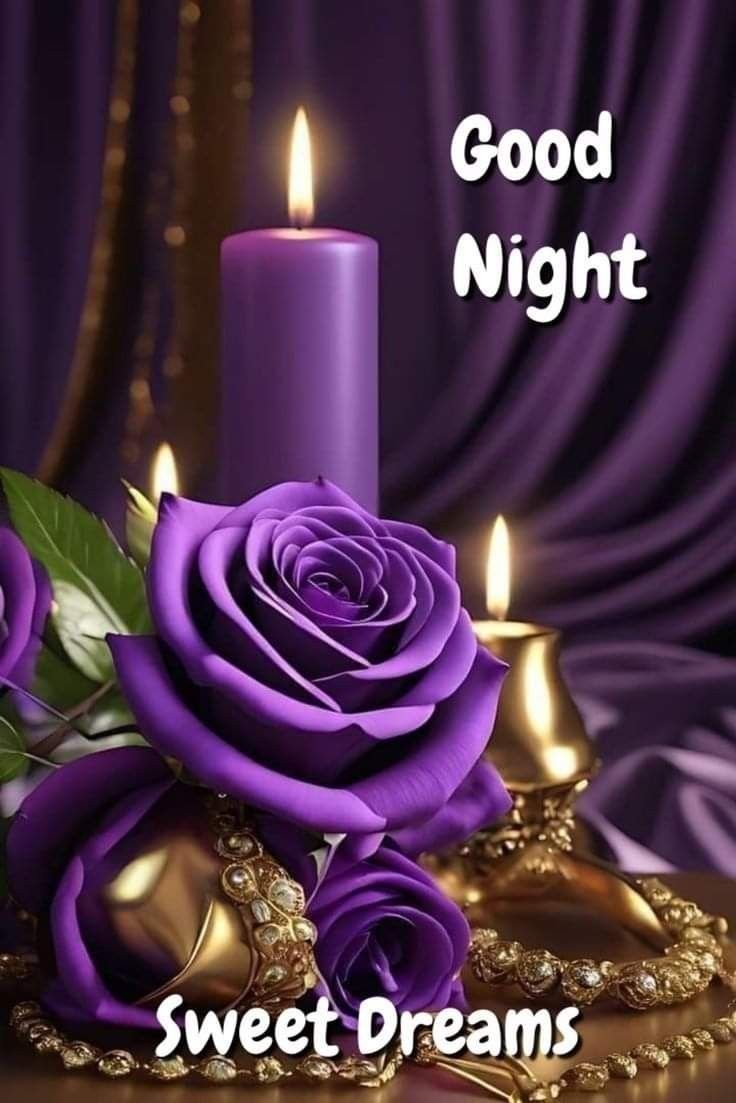 good night pic