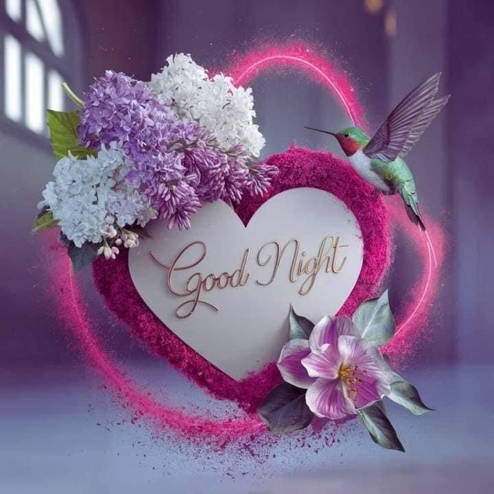 good night pic