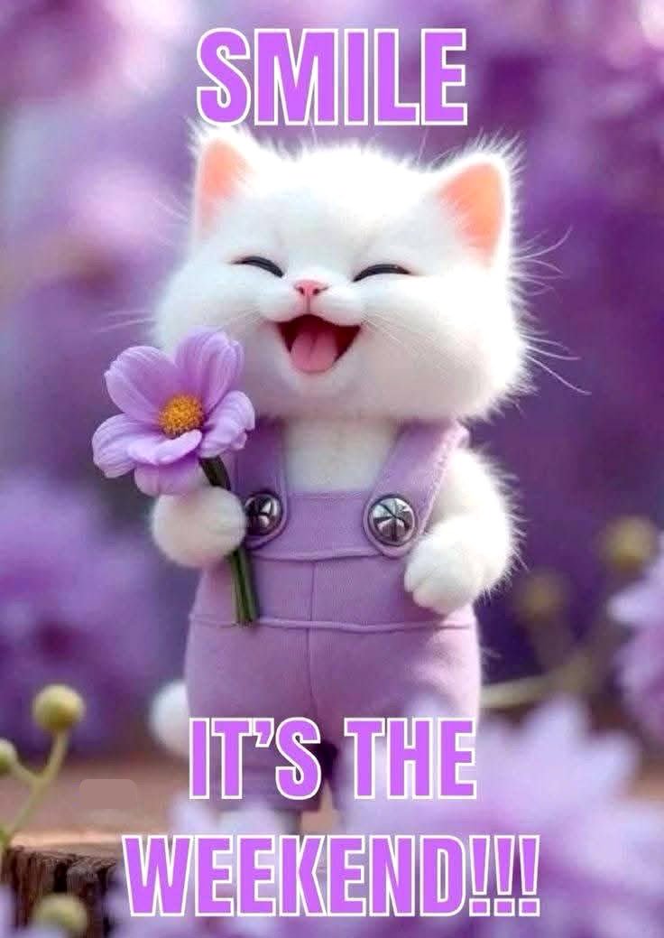 happy saturday picture