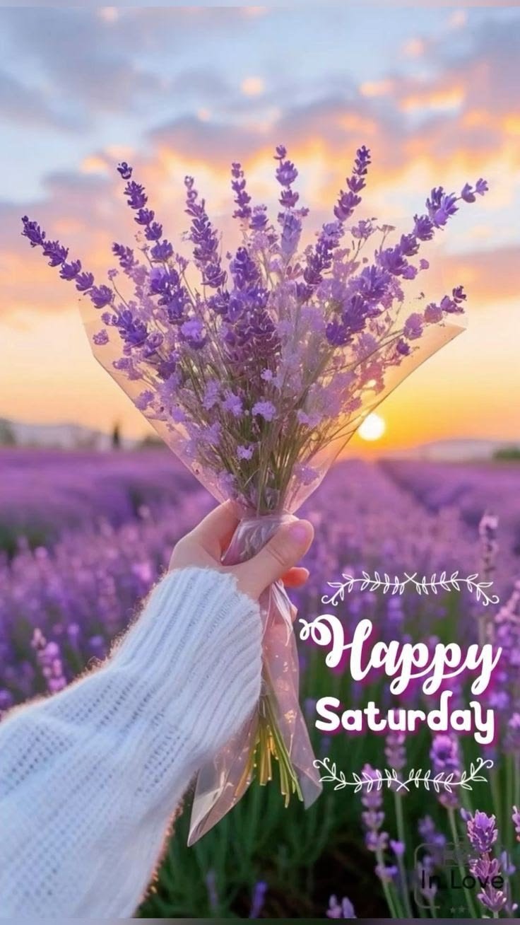 wonderful saturday images