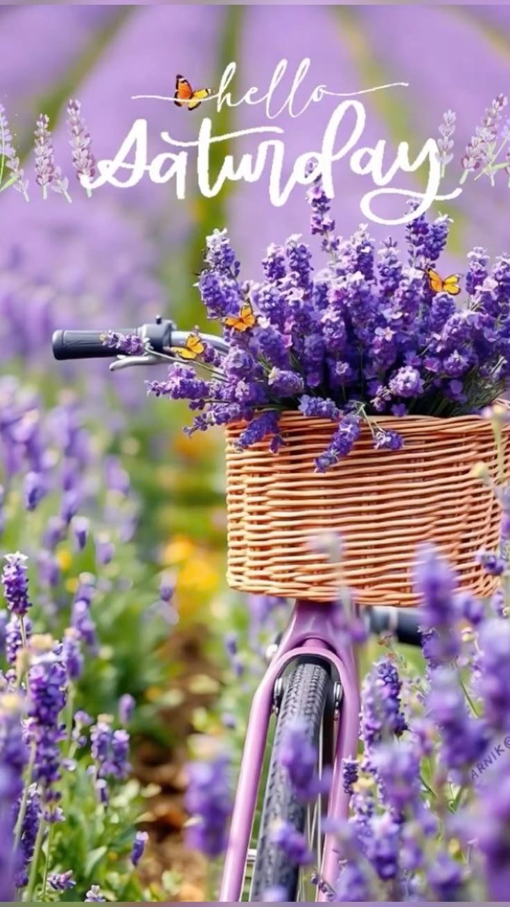 happy saturday flowers