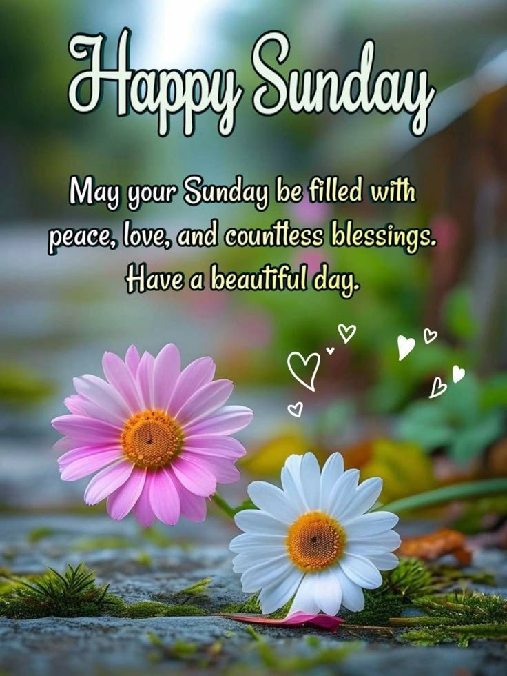 good morning sunday blessings images and quotes