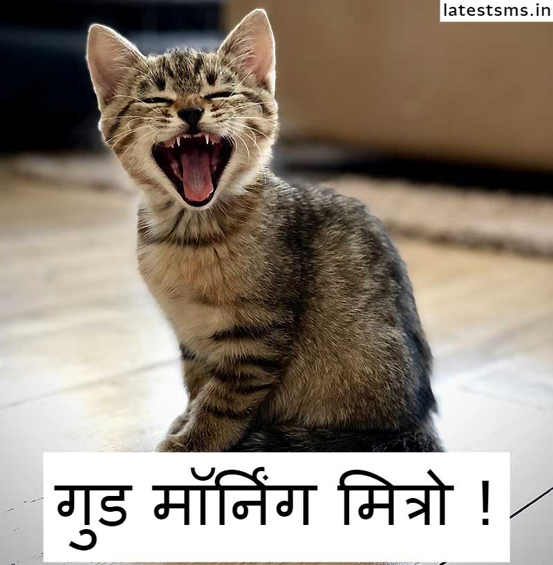 Funny Good Morning SMS In Hindi 