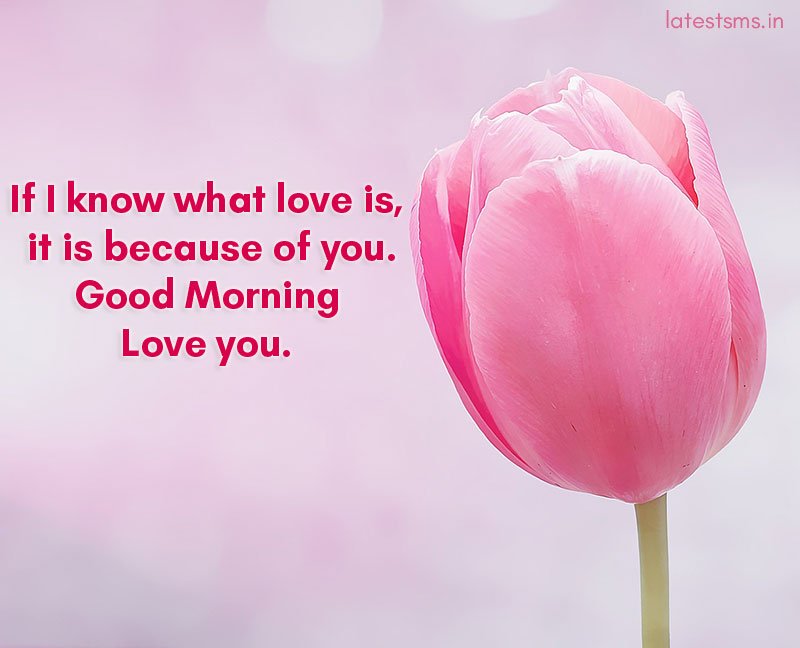 Sweet Heartfelt Good Morning Messages For Her Latestsms in