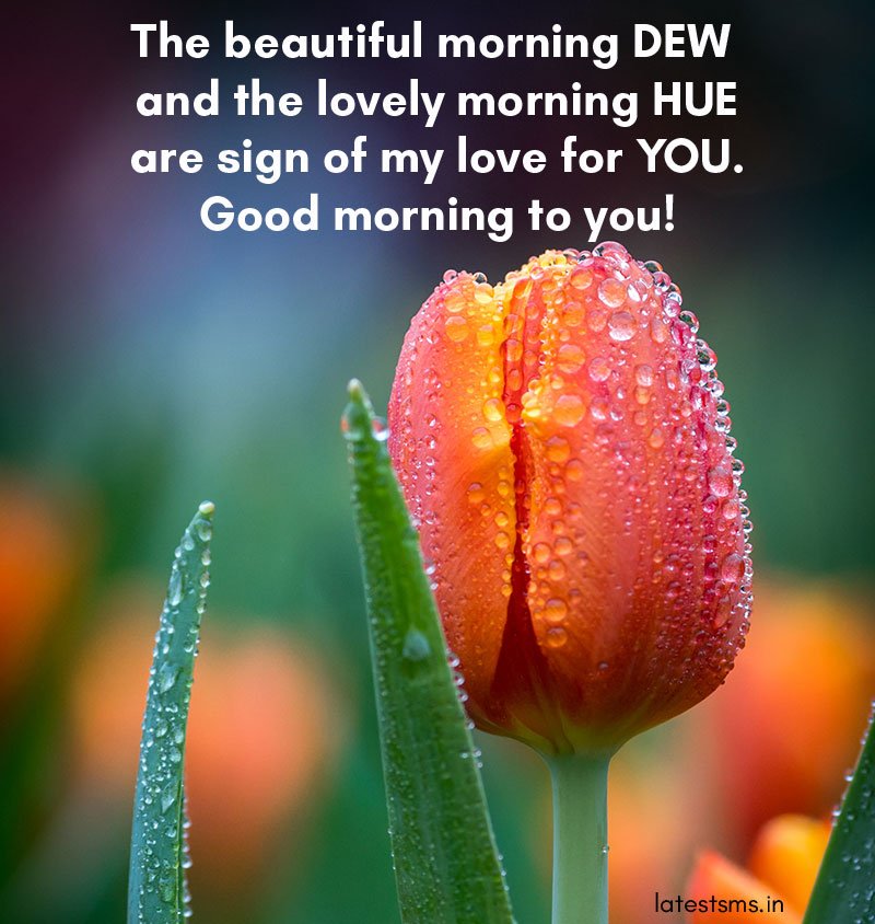 Sweet Heartfelt Good Morning Messages For Her | latestsms.in