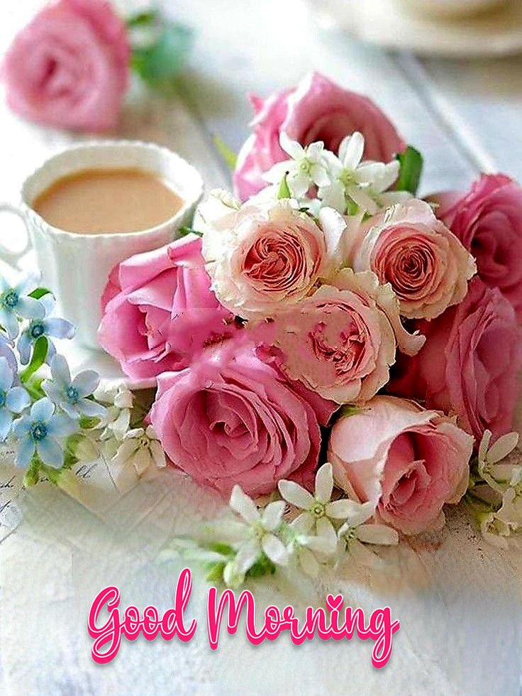 new good morning cute images