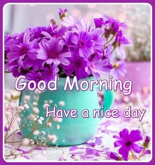 sweet good morning wishes photos for whatsapp