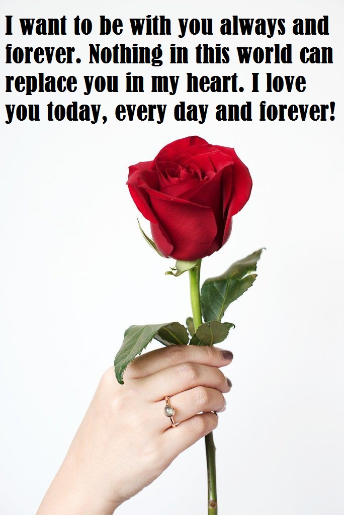 red rose love messages