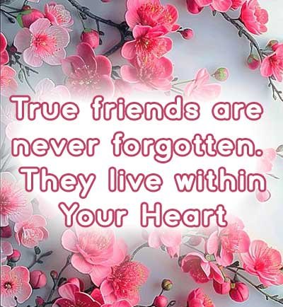 Best friends quotes for instagram