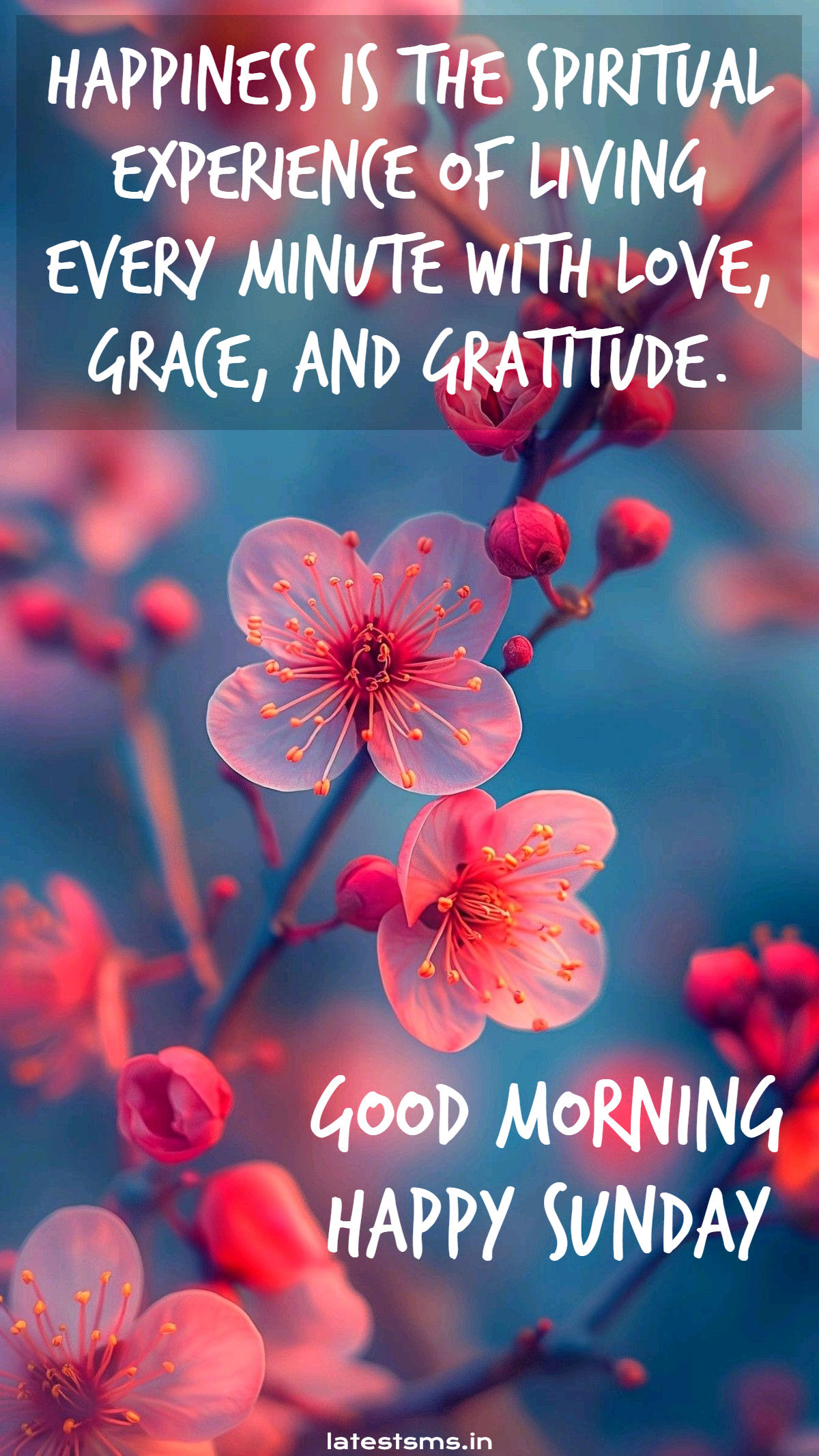 Happy Sunday Images Happy Sunday GIF Latestsms in