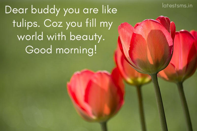 heart touching good morning messages for friends